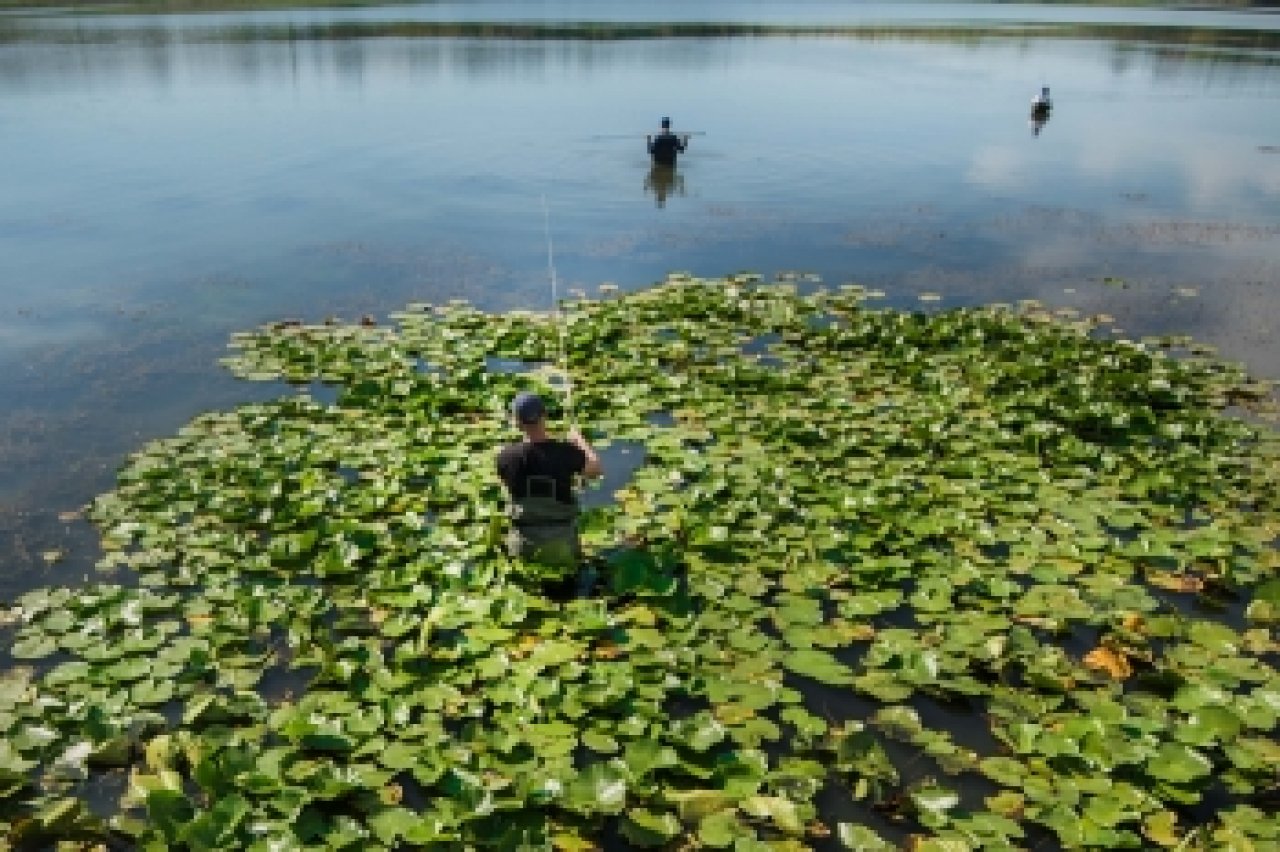 Photo Contest of the Year 2018