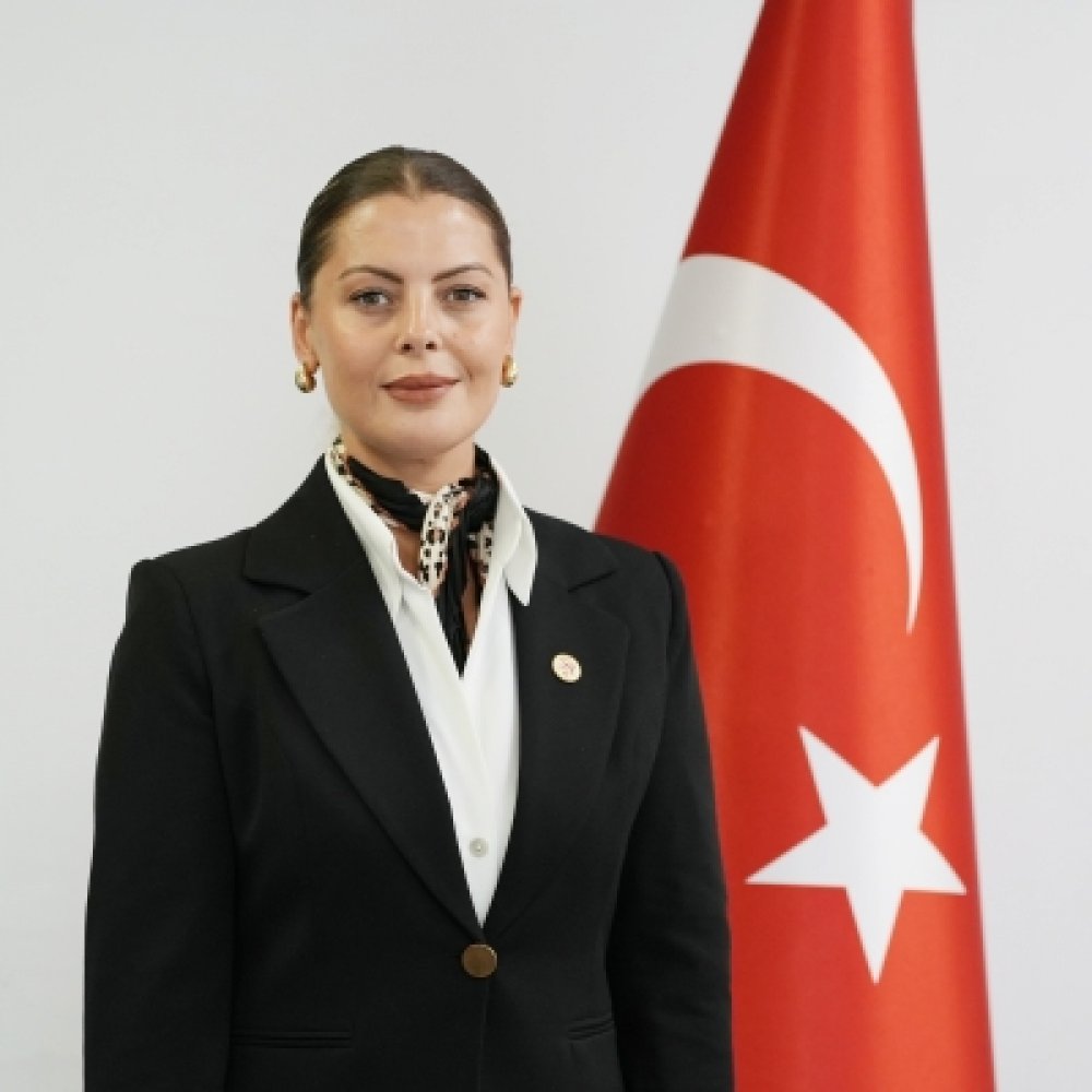 Ayşegül BAYBEK