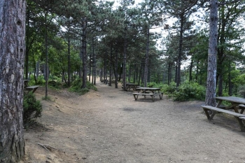 BOĞAZKÖY C TİPİ PİKNİK ALANI