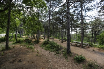 BOĞAZKÖY C TİPİ PİKNİK ALANI