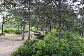 BOĞAZKÖY C TİPİ PİKNİK ALANI