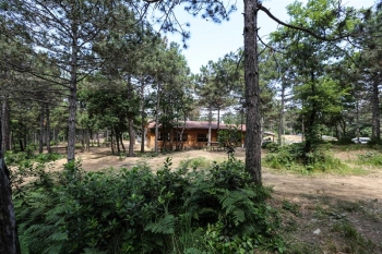 BOĞAZKÖY C TİPİ PİKNİK ALANI