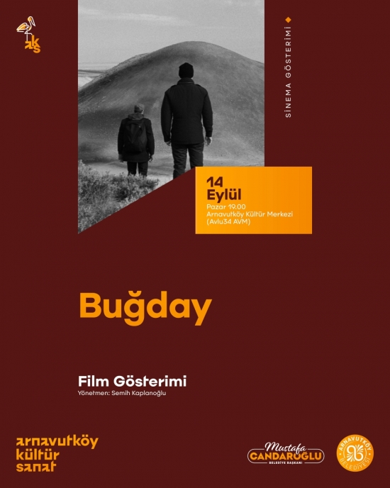 Buğday