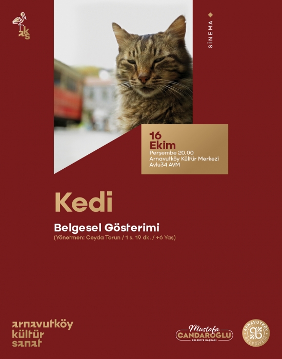 Belgesel Gösterimi- Kedi