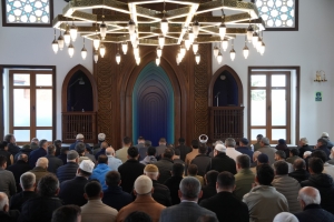 Arnavutköy Belediyesi