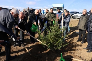 Arnavutköy Belediyesi