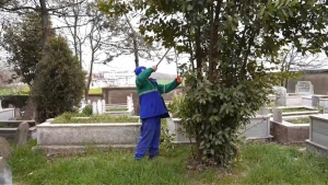 Arnavutköy Belediyesi