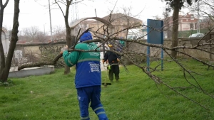 Arnavutköy Belediyesi