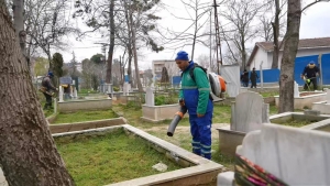 Arnavutköy Belediyesi