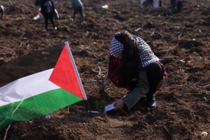 Arnavutköy Belediyesi