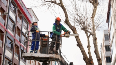 Budama Çalışmalarımızla Bahara Hazırlanıyoruz