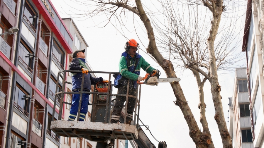 Budama Çalışmalarımızla Bahara Hazırlanıyoruz