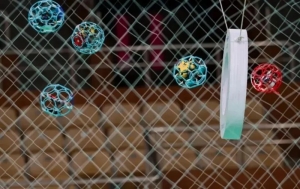 Arnavutköy Belediyesi