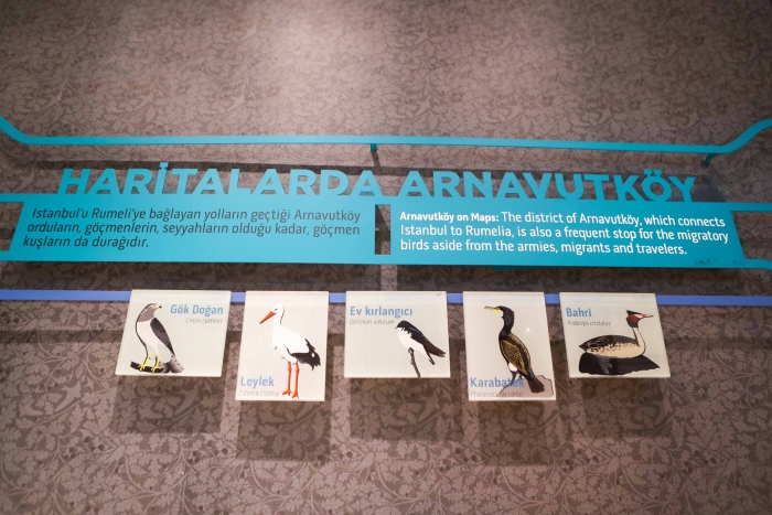 Arnavutköy Belediyesi